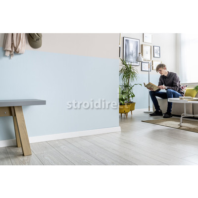 ESP101 decor.jpg