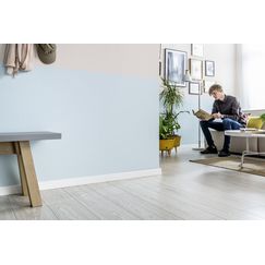 ESP101 decor.jpg