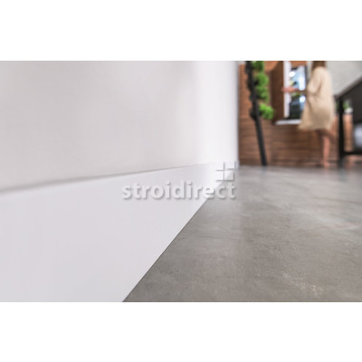 ESP202 decor.jpg