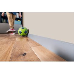 ESP203 decor.jpg