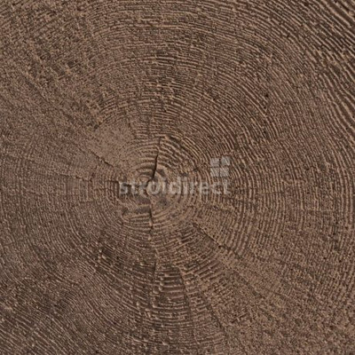 Stepping_Stone_antichno_kafyav.jpg